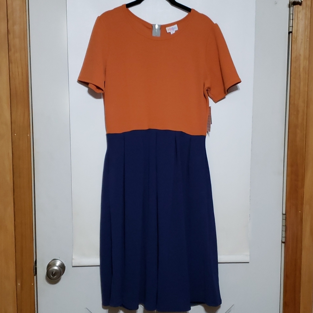 NWT LuLaRoe Amelia dress